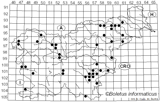 <i>Hemimycena cucullata</i> (Pers.) Singer (1961)