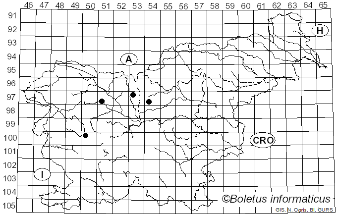 <i>Puccinia circaeae</i> Pers. (1794)