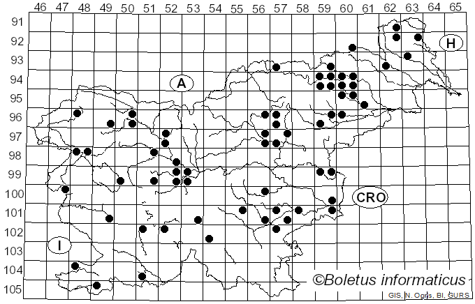<i>Phellinus igniarius</i> (L.) Quél. (1886)
