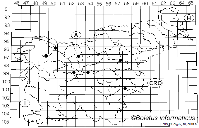 <i>Tranzschelia anemones</i> (Pers.) Nannf. (1939)