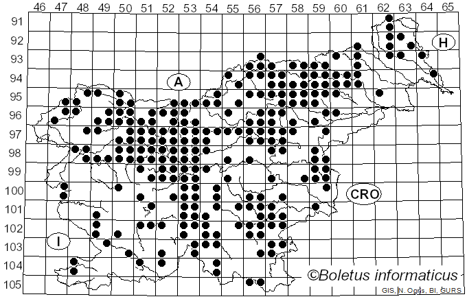 <i>Albatrellus</i> Gray (1821)