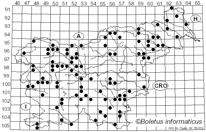 <i>Ceratiomyxa fruticulosa</i> (O.F. Müll.) T. Macbr. (1899)