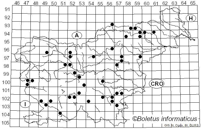 <i>Melanoleuca brevipes</i> (Bull.) Pat. (1900)