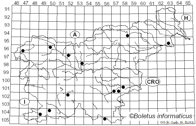 <i>Tarzetta</i> (Cooke) Lambotte (1888)