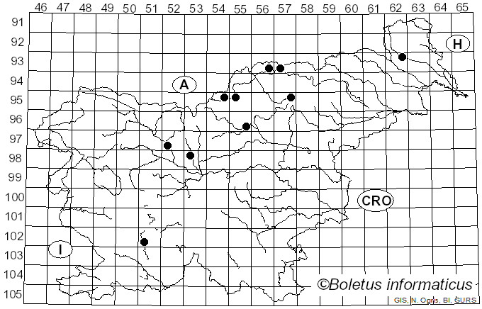 <i>Pityogenes chalcographus</i> Linnaeus (1761)