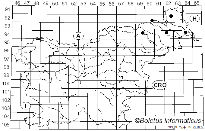 <i>Dacrymyces minor</i> Peck (1878)