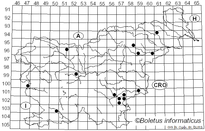 <i>Pluteus thomsonii</i> (Berk. & Broome) Dennis (1948)