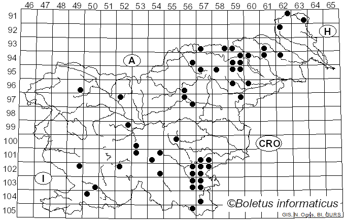 <i>Amaropostia</i> B.K. Cui, L.L. Shen & Y.C. Dai (2018)