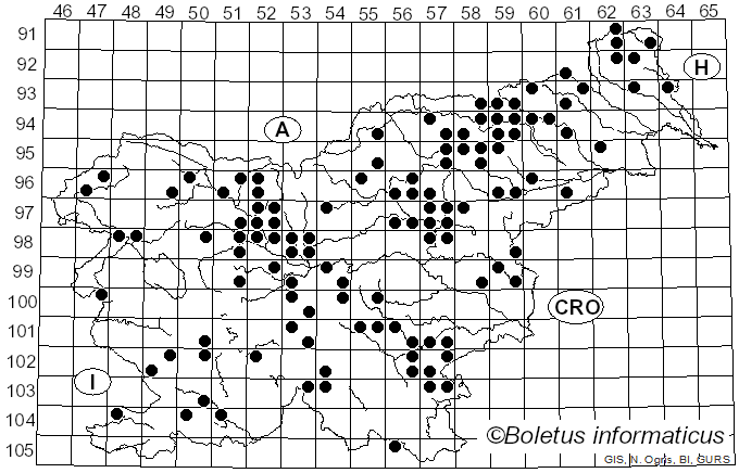 <i>Laccaria proxima</i> (Boud.) Pat. (1887)