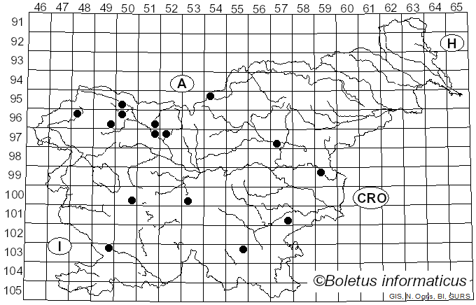 <i>Exidia pithya</i> (Alb. & Schwein.) Fr. (1822)