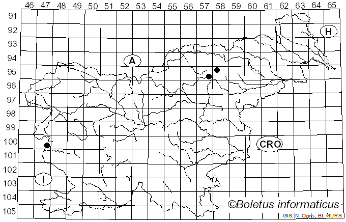 <i>Cortinarius brunneus</i> var. <i>glandicolor</i> (Fr.) H. Lindstr. & Melot (1992)