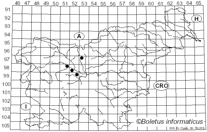 <i>Pucciniastrum circaeae</i> (Schumach.) Speg. (1888)