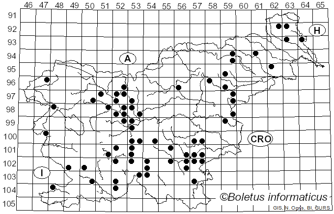 <i>Tricholoma squarrulosum</i> Bres. (1892)