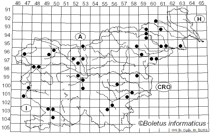 <i>Peniophora cinerea</i> (Pers.) Cooke (1879)