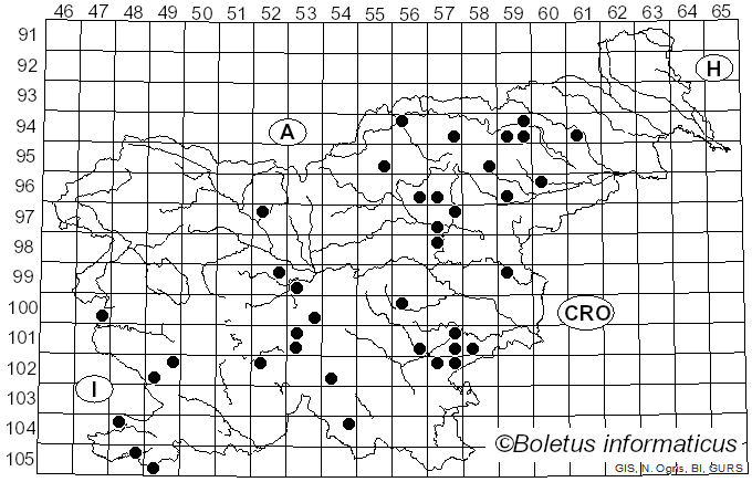 <i>Russula decipiens</i> (Singer) Kühner & Romagn. (1985)