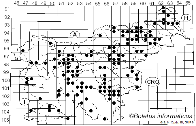 <i>Ramaria botrytis</i> (Pers.) Ricken (1918)