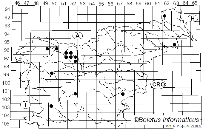 <i>Rhizocybe</i> Vizzini, G. Moreno, P. Alvarado & Consiglio (2015)