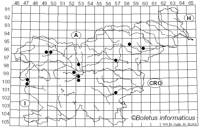 <i>Melanoleuca stridula</i> (Fr.) Singer (1943)