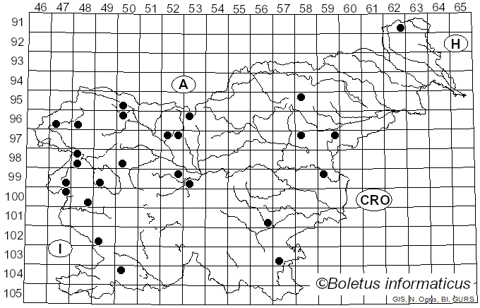 <i>Hygrocybe intermedia</i> (Pass.) Fayod (1889)