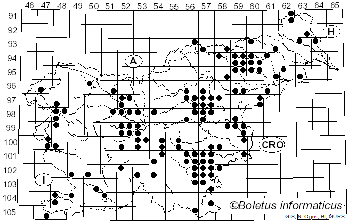 <i>Meripilus giganteus</i> (Pers.) P. Karst. (1882)