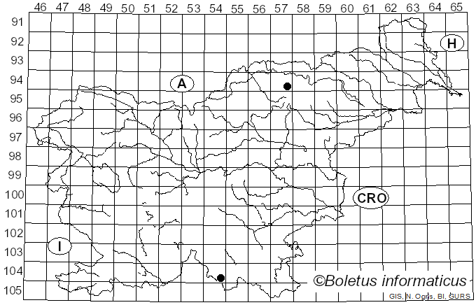 <i>Physcia pusilloides</i> Zahlbr. (1931)
