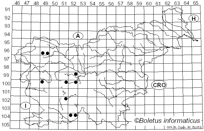 <i>Eupeodes latifasciatus</i> Macquart