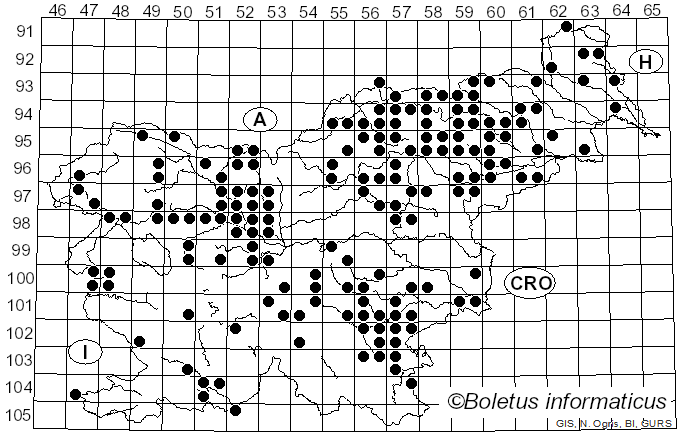 <i>Phaeolus schweinitzii</i> (Fr.) Pat. (1900)