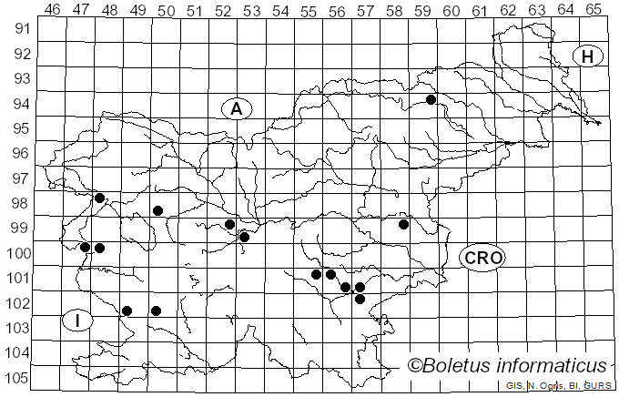 <i>Cortinarius cyaneus</i> (Bres.) M.M. Moser (1967)