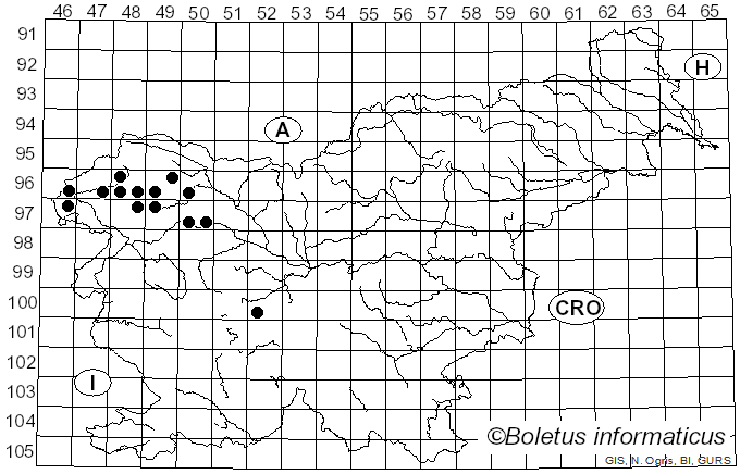 <i>Solorina saccata</i> (L.) Ach. (1808)