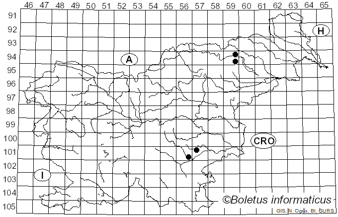 <i>Entoloma platyphylloides</i> (Romagn.) Largent (1974)