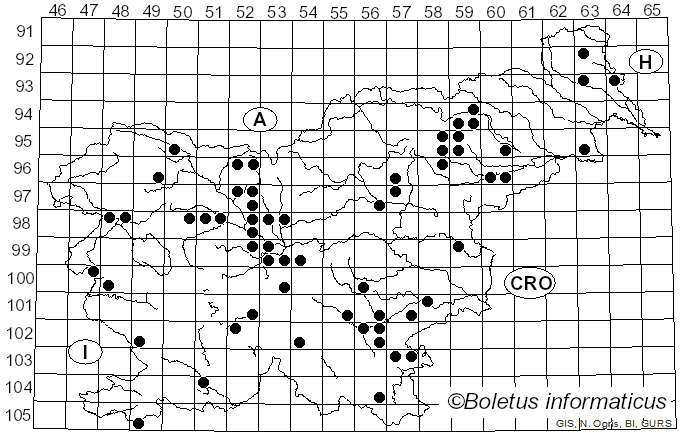 <i>Asterophora</i> Ditmar (1809)