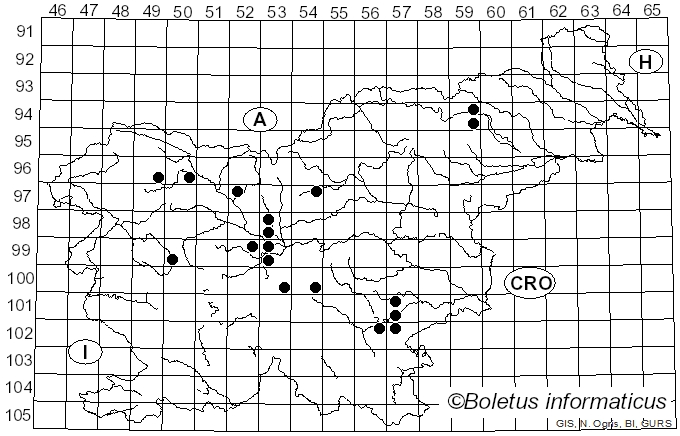 <i>Hygrophorus camarophyllus</i> (Alb. & Schwein.) Dumée, Grandjean & Maire (1912)