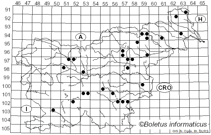 <i>Pholiota limonella</i> (Peck) Sacc. (1887)