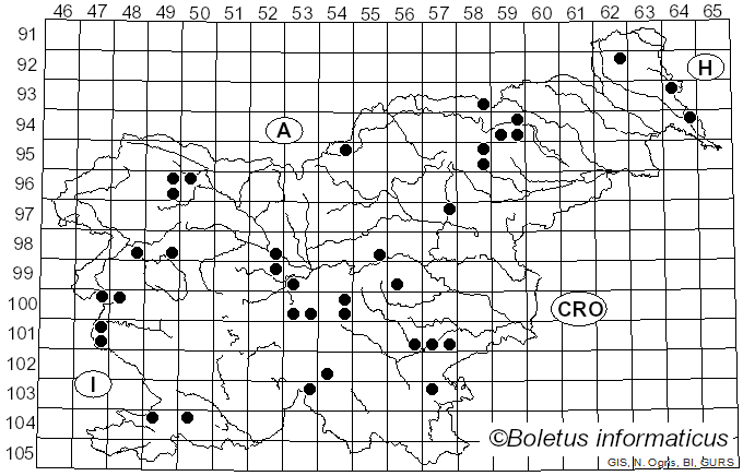 <i>Pholiota carbonaria</i> (Fr.) Singer (1951)