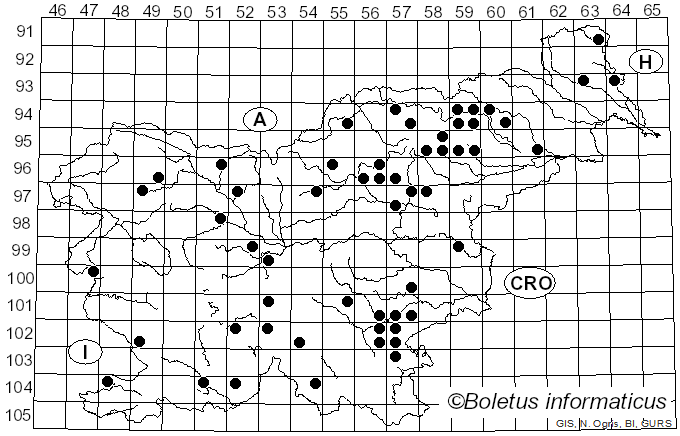 <i>Thaxterogaster multiformis</i> (Fr.) Niskanen & Liimat. (2022)