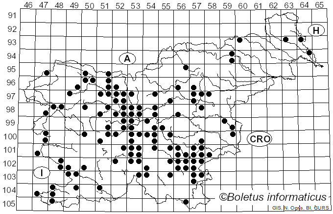 <i>Infundibulicybe geotropa</i> (Bull.) Harmaja (2003)