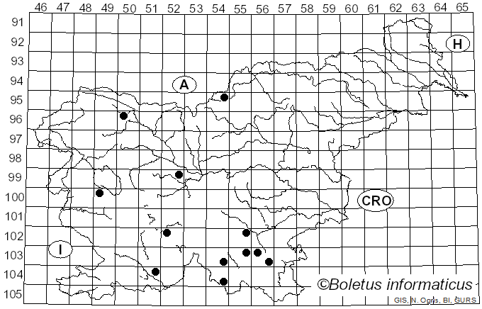 <i>Cytospora pinastri</i> Fr. (1823)