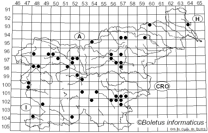 <i>Inosperma cervicolor</i> (Pers.) Matheny & Esteve-Rav. (2019)