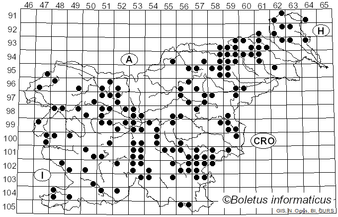 <i>Tricholoma ustale</i> (Fr.) P. Kumm. (1871)