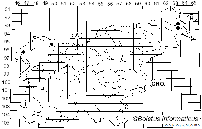 <i>Proliferodiscus</i> J.H. Haines & Dumont (1983)