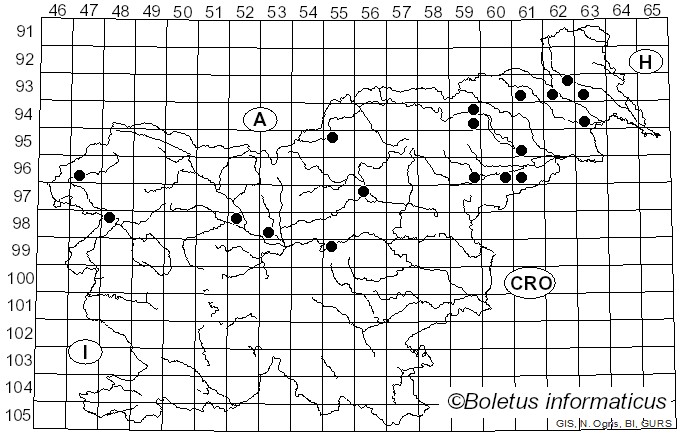 <i>Cyanoboletus</i> Gelardi, Vizzini & Simonini (2014)