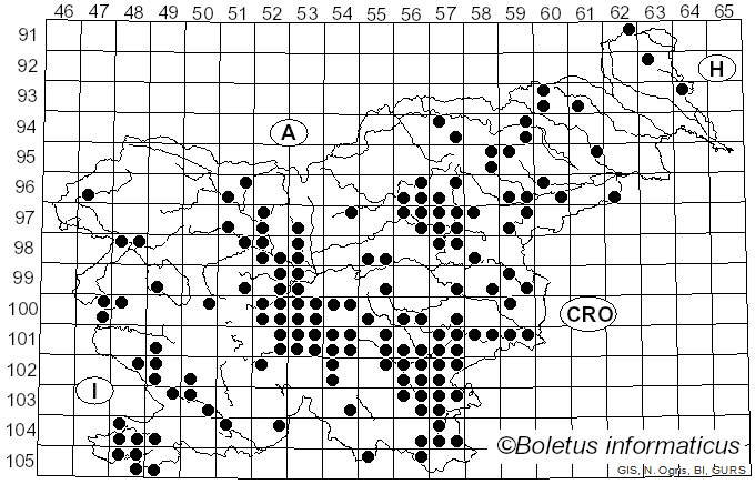 <i>Suillellus queletii</i> (Schulzer) Vizzini, Simonini & Gelardi (2014)