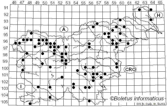 <i>Humaria</i> Fuckel (1870)