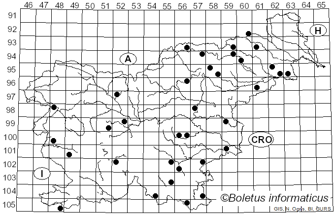 <i>Trametopsis cervina</i> (Schwein.) Tomšovský (2008)