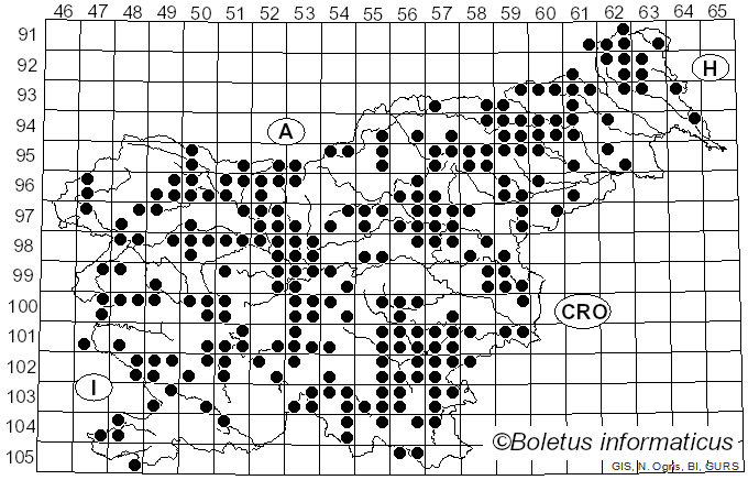 <i>Mycena pura</i> (Pers.) Sacc. (1871)