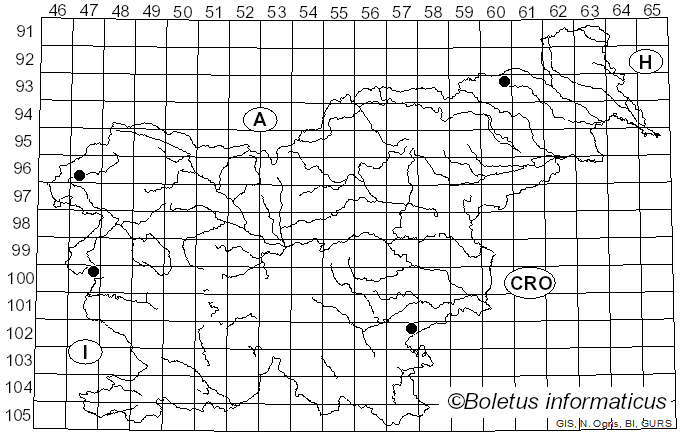 <i>Conocybe pygmaeoaffinis</i> (Fr.) Kühner (1935)