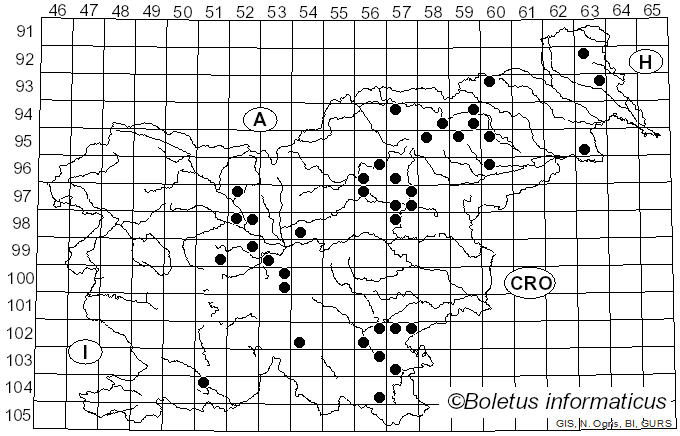 <i>Lactifluus oedematopus</i> (Scop.) Kuntze (1891)