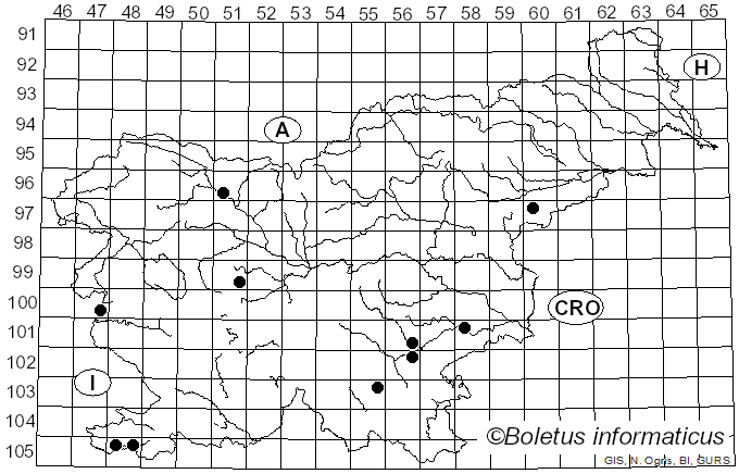 <i>Tremella globispora</i> D.A. Reid (1970)
