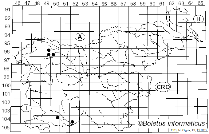 <i>Protostropharia dorsipora</i> (Esteve-Rav. & Barassa) Redhead (2014)