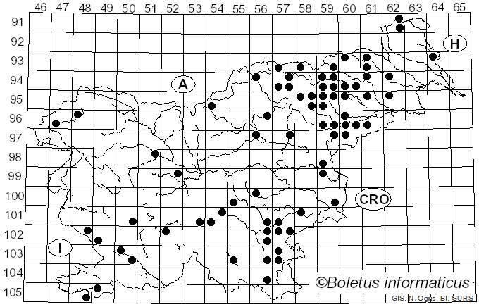 <i>Scleroderma areolatum</i> Ehrenb. (1818)